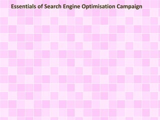 Essentials of Search Engine Optimisation Campaign 
 