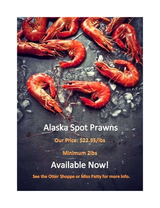 Fresh Alaska Shrimp