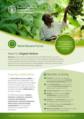 Need for Urgent Action
Bananas are the world’s most exported fresh fruit (US$10bn/year). They are an
essential source of income for thousands of rural households in developing countries.
However, agrochemical-intensive production along with declining producer prices has
given rise to many environmental and social challenges. These can only be properly
addressed if all the stakeholders actively collaborate.
Inspiring collaboration
The World Banana Forum (WBF) is a
space where main stakeholders of the
global banana supply-chain work together
to achieve industry-wide consensus on
best practices for sustainable production
and trade. We believe collaboration is
the key for change.
The WBF brings together retailers,
importers, producers, exporters,
consumer associations,
governments, research institutions,
trade unions, and civil society
organizations to find pragmatic
solutions for the betterment of
the industry.
II Promote the adoption of sustainable
business practices aligned to Corporate
Social Responsibility (CSR) strategies.
II Forge partnerships and connect with a
specialized international network of the
banana sector, supported by FAO.
II Increase exposure for your organization.
II Engage in global international policy
development and standard setting
processes with multiple stakeholders.
II Dialogue with governments and promote
the development of national frameworks.
II Attend WBF meetings and participate in its
main strategic decisions.
II Become a member of the Steering Committee
or a coordinator of a Working Group.
The WBF is hosted by the Trade and Markets Division of the Food and Agriculture Organization of the United Nations - FAO.
Benefits of joining
WORLD
BANANA
FORUM
W B F World Banana Forum
Working together
for sustainable
banana production
and trade
 
