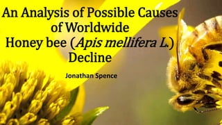 An Analysis of Possible Causes
of Worldwide
Honey bee (Apis mellifera L.)
Decline
Jonathan Spence
 