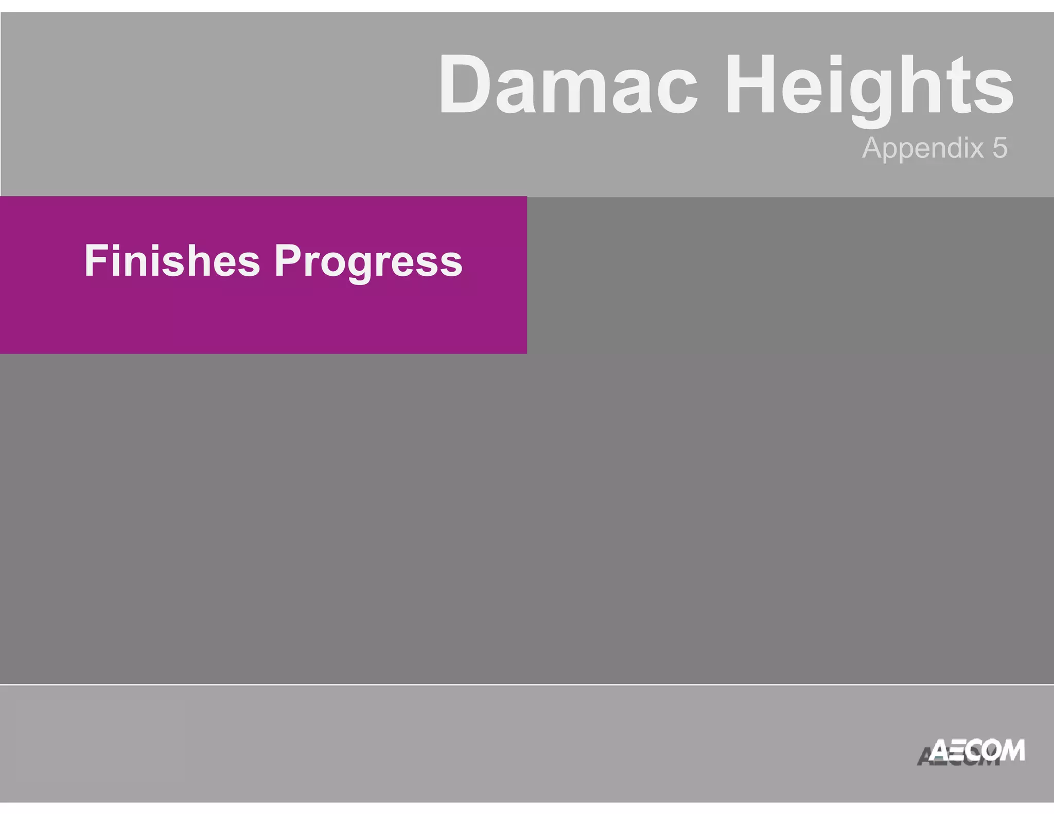 QATAR 
ACCOUNT 
MANAGEMENT 
PROGRAM 
Damac Heights 
Appendix 5 
Finishes Progress 
 