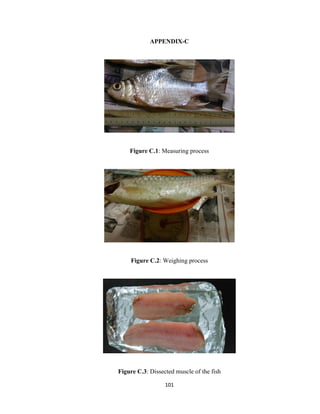 101
APPENDIX-C
Figure C.1: Measuring process
Figure C.2: Weighing process
Figure C.3: Dissected muscle of the fish
 
