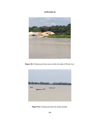 104
APPENDIX-D
Figure D.1: Human activities occur on the riverside of Perak river.
Figure D.2: Fishing activities by nearby people.
 