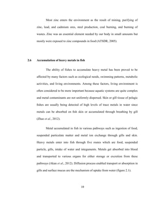 19
Most zinc enters the environment as the result of mining, purifying of
zinc, lead, and cadmium ores, steel production, coal burning, and burning of
wastes. Zinc was an essential element needed by our body in small amounts but
mostly were exposed to zinc compounds in food (ATSDR, 2005).
2.6 Accumulation of heavy metals in fish
The ability of fishes to accumulate heavy metal has been proved to be
affected by many factors such as ecological needs, swimming patterns, metabolic
activities, and living environments. Among these factors, living environment is
often considered to be more important because aquatic systems are quite complex
and metal contaminants are not uniformly dispersed. Skin or gill tissue of pelagic
ﬁshes are usually being detected of high levels of trace metals in water since
metals can be absorbed on ﬁsh skin or accumulated through breathing by gill
(Zhao et al., 2012).
Metal accumulated in fish in various pathways such as ingestion of food,
suspended particulate matter and metal ion exchange through gills and skin.
Heavy metals enter into fish through five routes which are food, suspended
particle, gills, intake of water and integuments. Metals get absorbed into blood
and transported to various organs for either storage or excretion from these
pathways (Akan et al., 2012). Diffusion process enabled transport or absorption in
gills and surface mucus are the mechanism of uptake from water (figure 2.1).
 