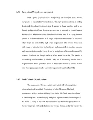 28
2.9.4 Barb, spiny (Mystacoleucus marginatus)
Barb, spiny (Mystacoleucus marginatus) or synonym with Barbus
marginatus is classified in Cypriniformes. This very common species is widely
distributed throughout Southeast Asia. It occurs in large numbers and is not
thought to have significant threats at present, and is assessed as Least Concern.
The species is widely distributed throughout Southeast Asia. It is a very common
species in all suitable habitats in its range. Population status in Java is unknown,
where rivers are impacted by high levels of pollution. This species found in a
wide range of habitats, from lowland rivers and marshlands to montane streams,
well adaptive in impounded rivers. It can be an indicator of degraded streams if it
becomes dominant and thought to breed when water levels rise. The species is
occasionally seen in markets (Rainboth 1996), but of low fishery interest, due to
its procumbent dorsal spine that makes it difficult for fishers to remove it from
nets. This species occasionally seen in the aquarium trade (IUCN, 2015).
2.9.5 Fowler's danio (Devario regina)
The queen danio (Devario regina) is a tropical fish belonging to the
minnow family (Cyprinidae). Originating in India, Myanmar, Thailand,
northwestern Malaya, and the Mekong River basin, this fish is sometimes found
in community tanks by fish-keeping hobbyists. It grows to a maximum length of
3.1 inches (7.8 cm). In the wild, the queen danio is a rheophilic species found in
fast-moving rivers with sandy bottoms in a tropical climate, and prefer water with
 