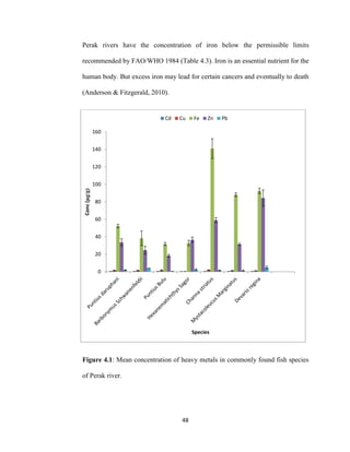 48
Perak rivers have the concentration of iron below the permissible limits
recommended by FAO/WHO 1984 (Table 4.3). Iron is an essential nutrient for the
human body. But excess iron may lead for certain cancers and eventually to death
(Anderson & Fitzgerald, 2010).
Figure 4.1: Mean concentration of heavy metals in commonly found fish species
of Perak river.
0
20
40
60
80
100
120
140
160
Conc(µg/g)
Species
Cd Cu Fe Zn Pb
 