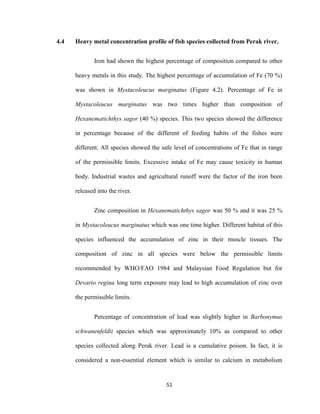 51
4.4 Heavy metal concentration profile of fish species collected from Perak river.
Iron had shown the highest percentage of composition compared to other
heavy metals in this study. The highest percentage of accumulation of Fe (70 %)
was shown in Mystacoleucus marginatus (Figure 4.2). Percentage of Fe in
Mystacoleucus marginatus was two times higher than composition of
Hexanematichthys sagor (40 %) species. This two species showed the difference
in percentage because of the different of feeding habits of the fishes were
different. All species showed the safe level of concentrations of Fe that in range
of the permissible limits. Excessive intake of Fe may cause toxicity in human
body. Industrial wastes and agricultural runoff were the factor of the iron been
released into the river.
Zinc composition in Hexanematichthys sagor was 50 % and it was 25 %
in Mystacoleucus marginatus which was one time higher. Different habitat of this
species influenced the accumulation of zinc in their muscle tissues. The
composition of zinc in all species were below the permissible limits
recommended by WHO/FAO 1984 and Malaysian Food Regulation but for
Devario regina long term exposure may lead to high accumulation of zinc over
the permissible limits.
Percentage of concentration of lead was slightly higher in Barbonymus
schwanenfeldii species which was approximately 10% as compared to other
species collected along Perak river. Lead is a cumulative poison. In fact, it is
considered a non-essential element which is similar to calcium in metabolism
 