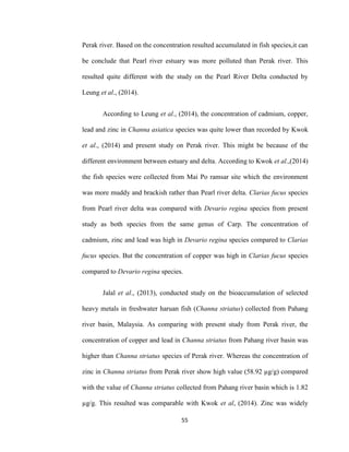 55
Perak river. Based on the concentration resulted accumulated in fish species,it can
be conclude that Pearl river estuary was more polluted than Perak river. This
resulted quite different with the study on the Pearl River Delta conducted by
Leung et al., (2014).
According to Leung et al., (2014), the concentration of cadmium, copper,
lead and zinc in Channa asiatica species was quite lower than recorded by Kwok
et al., (2014) and present study on Perak river. This might be because of the
different environment between estuary and delta. According to Kwok et al.,(2014)
the fish species were collected from Mai Po ramsar site which the environment
was more muddy and brackish rather than Pearl river delta. Clarias fucus species
from Pearl river delta was compared with Devario regina species from present
study as both species from the same genus of Carp. The concentration of
cadmium, zinc and lead was high in Devario regina species compared to Clarias
fucus species. But the concentration of copper was high in Clarias fucus species
compared to Devario regina species.
Jalal et al., (2013), conducted study on the bioaccumulation of selected
heavy metals in freshwater haruan fish (Channa striatus) collected from Pahang
river basin, Malaysia. As comparing with present study from Perak river, the
concentration of copper and lead in Channa striatus from Pahang river basin was
higher than Channa striatus species of Perak river. Whereas the concentration of
zinc in Channa striatus from Perak river show high value (58.92 µg/g) compared
with the value of Channa striatus collected from Pahang river basin which is 1.82
µg/g. This resulted was comparable with Kwok et al, (2014). Zinc was widely
 
