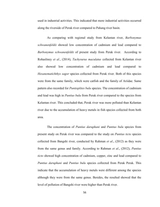 56
used in industrial activities. This indicated that more industrial activities occurred
along the riverside of Perak river compared to Pahang river basin.
As comparing with regional study from Kelantan river, Barbonymus
schwanenfeldii showed low concentration of cadmium and lead compared to
Barbonymus schwanenfeldii of present study from Perak river. According to
Rohasliney et al., (2014), Tachysurus maculatus collected from Kelantan river
also showed low concentration of cadmium and lead compared to
Hexanematichthys sagor species collected from Perak river. Both of this species
were from the same family, which were catfish and the family of Ariidae. Same
pattern also recorded for Puntioplites bulu species. The concentration of cadmium
and lead was high in Puntius bulu from Perak river compared to the species from
Kelantan river. This concluded that, Perak river was more polluted than Kelantan
river due to the accumulation of heavy metals in fish species collected from both
area.
The concentration of Puntius daruphani and Puntius bulu species from
present study on Perak river was compared to the study on Puntius ticto species
collected from Bangshi river, conducted by Rahman et al., (2012) as they were
from the same genus and family. According to Rahman et al., (2012), Puntius
ticto showed high concentration of cadmium, copper, zinc and lead compared to
Puntius daruphani and Puntius bulu species collected from Perak Perak. This
indicate that the accumulation of heavy metals were different among the species
although they were from the same genus. Besides, the resulted showed that the
level of pollution of Bangshi river were higher than Perak river.
 