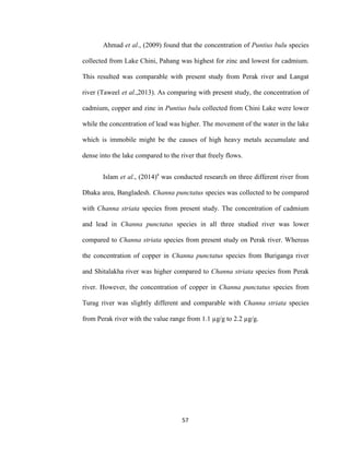 57
Ahmad et al., (2009) found that the concentration of Puntius bulu species
collected from Lake Chini, Pahang was highest for zinc and lowest for cadmium.
This resulted was comparable with present study from Perak river and Langat
river (Taweel et al.,2013). As comparing with present study, the concentration of
cadmium, copper and zinc in Puntius bulu collected from Chini Lake were lower
while the concentration of lead was higher. The movement of the water in the lake
which is immobile might be the causes of high heavy metals accumulate and
dense into the lake compared to the river that freely flows.
Islam et al., (2014)a
was conducted research on three different river from
Dhaka area, Bangladesh. Channa punctatus species was collected to be compared
with Channa striata species from present study. The concentration of cadmium
and lead in Channa punctatus species in all three studied river was lower
compared to Channa striata species from present study on Perak river. Whereas
the concentration of copper in Channa punctatus species from Buriganga river
and Shitalakha river was higher compared to Channa striata species from Perak
river. However, the concentration of copper in Channa punctatus species from
Turag river was slightly different and comparable with Channa striata species
from Perak river with the value range from 1.1 µg/g to 2.2 µg/g.
 