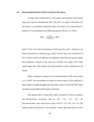60
4.6 Bioaccumulation factors (BAF) of metals in fish species
Average metal concentrations in fish species and sediments from present
study were used for calculating the BAF. The BAF is an index of the ability of a
fish species to accumulate a particular metal with respect to its concentration in
sediment. It was calculated by the following equation (Kwok et al., 2014):
BAF =
𝐶 𝑓𝑖𝑠ℎ
𝐶 𝑠𝑒𝑑𝑖𝑚𝑒𝑛𝑡
x 100%
where C fish is the metal concentration in fish (µg/g dw), and C sediment is the
metal concentration in sediment (µg/g [dw]). For this study, the concentration of
Cd, Cu, Pb, Fe and Zn of sediment was adapted by other final year project student
that conducted a research on the same area of Perak river (Farah, 2015). BAF
values higher than 100% indicate the bioaccumulation of the contaminant in the
sample.
Metals contained in sediment can be bioaccumulated in fish tissues (Islam
et al., 2014)ᵇ. The accumulation of metals in muscle tissues of fish could have a
direct impact on health throughout the food chain. Table 4.6 listed the BAF values
calculated among different fish species and metals.
The ranking order of mean BAF values of metals for Puntius daruphani
and Mystacoleucus marginatus were Fe >Zn > Cd > Cu > Pb ; for
Hexanematichthys sagor and Devario regina were Fe > Zn > Pb > Cd > Cu. The
ranking order for Barbonymus schwanenfeldii , Puntius Bulu and Channa striatus
 