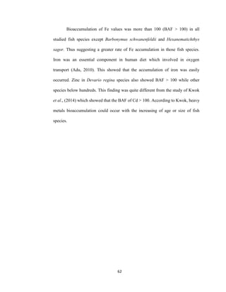 62
Bioaccumulation of Fe values was more than 100 (BAF > 100) in all
studied fish species except Barbonymus schwanenfeldii and Hexanematichthys
sagor. Thus suggesting a greater rate of Fe accumulation in those fish species.
Iron was an essential component in human diet which involved in oxygen
transport (Adu, 2010). This showed that the accumulation of iron was easily
occurred. Zinc in Devario regina species also showed BAF > 100 while other
species below hundreds. This finding was quite different from the study of Kwok
et al., (2014) which showed that the BAF of Cd > 100. According to Kwok, heavy
metals bioaccumulation could occur with the increasing of age or size of fish
species.
 