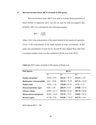 64
4.7 Bio-concentration factor (BCF) of metals in fish species.
Bio-concentration factor (BCF) was used to evaluate bioaccumulation of
metal element in organisms and it can also be used for field investigation data
(USEPA, 1991). It is calculated by this following equation:
BCF =
𝐶 𝑓𝑖𝑠ℎ
𝐶 𝑤𝑎𝑡𝑒𝑟
where, Cfish is the concentration of the metal element in the muscle of organisms;
Cwater is the concentration of the metal element in water environment. In this
study, the concentration of water for Fe, Zn and Pb were adapted from other final
year project student which was also conducted in Perak river (Loh, 2015).
Table 4.6: BCF values of metals in fish species of Perak river.
Fish Species BCFs
Fe Zn Pb
Puntius daruphani 38.09 ± 4.59 264.15 ± 56.37 223.33 ± 1.67
Barbonymus schwanenfeldii 18.6 ± 10.96 255.33 ± 75.79 267.24 ± 22.63
Puntius bulu 23.02 ± 1.36 154.04 ± 65.51 44.08 ± 9.31
Hexanematichthys sagor 8.08 ± 1.46 280.19 ± 8.43 239.88 ± 15.73
Channa striatus 64.09 ± 22.17 541.64 ± 87.32 185.33 ± 68.82
Mystacoleucus marginatus 40.85 ± 16.43 325.19 ± 72.11 130.83 ± 48.32
Devario regina 67.38 ± 7.82 524.05 ± 176.47 435.75 ± 124.1
Bold indicate BCF > 100
 