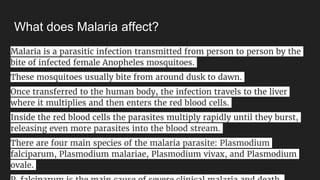 What does Malaria affect?
Malaria is a parasitic infection transmitted from person to person by the
bite of infected female Anopheles mosquitoes.
These mosquitoes usually bite from around dusk to dawn.
Once transferred to the human body, the infection travels to the liver
where it multiplies and then enters the red blood cells.
Inside the red blood cells the parasites multiply rapidly until they burst,
releasing even more parasites into the blood stream.
There are four main species of the malaria parasite: Plasmodium
falciparum, Plasmodium malariae, Plasmodium vivax, and Plasmodium
ovale.
 