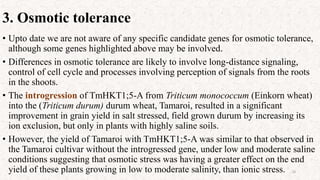 3. Osmotic tolerance
• Upto date we are not aware of any specific candidate genes for osmotic tolerance,
although some genes highlighted above may be involved.
• Differences in osmotic tolerance are likely to involve long-distance signaling,
control of cell cycle and processes involving perception of signals from the roots
in the shoots.
• The introgression of TmHKT1;5-A from Triticum monococcum (Einkorn wheat)
into the (Triticum durum) durum wheat, Tamaroi, resulted in a significant
improvement in grain yield in salt stressed, field grown durum by increasing its
ion exclusion, but only in plants with highly saline soils.
• However, the yield of Tamaroi with TmHKT1;5-A was similar to that observed in
the Tamaroi cultivar without the introgressed gene, under low and moderate saline
conditions suggesting that osmotic stress was having a greater effect on the end
yield of these plants growing in low to moderate salinity, than ionic stress. 20
 