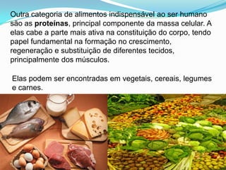 Outra categoria de alimentos indispensável ao ser humano são as proteínas, principal componente da massa celular. A elas cabe a parte mais ativa na constituição do corpo, tendo papel fundamental na formação no crescimento, regeneração e substituição de diferentes tecidos, principalmente dos músculos.Elas podem ser encontradas em vegetais, cereais, legumes e carnes.