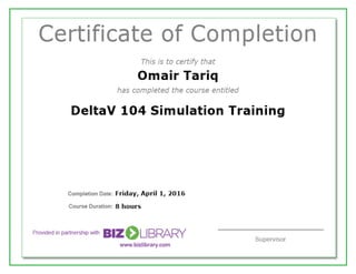DeltaV 104 Simulation Training