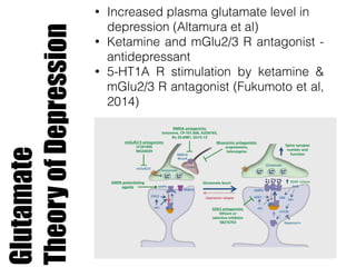 Glutamate
TheoryofDepression
• Increased plasma glutamate level in
depression (Altamura et al)
• Ketamine and mGlu2/3 R antagonist -
antidepressant
• 5-HT1A R stimulation by ketamine &
mGlu2/3 R antagonist (Fukumoto et al,
2014)
 