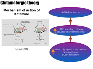 Glutamatergic theory
Mechanism of action of
Ketamine
AMPA-R activation
mTOR signalling pathway
activated in prefrontal cortex
GluR1, Synapsin, spine density
Synaptogenesis
BDNF translation
Kavalali, 2012
 