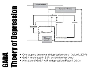 GABA
TheoryofDepression
• Overlapping anxiety and depression circuit (kalueff, 2007)
• GABA implicated in SSRI action (Mohler, 2012)
• Alteration of GABA-A R in depression (Fatemi, 2013)
 