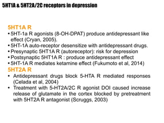 5HT1A & 5HT2A/2C receptors in depression
5HT1A R
•5HT-1a R agonists (8-OH-DPAT) produce antidepressant like
effect (Cryan, 2005).
•5HT-1A auto-receptor desensitize with antidepressant drugs.
•Presynaptic 5HT1A R (autoreceptor): risk for depression
•Postsynaptic 5HT1A R : produce antidepressant effect
•5HT-1A R mediates ketamine effect (Fukumoto et al, 2014)
5HT2A R
• Antidepressant drugs block 5-HTA R mediated responses
(Celada et al, 2004)
• Treatment with 5-HT2A/2C R agonist DOI caused increase
release of glutamate in the cortex blocked by pretreatment
with 5HT2A R antagonist (Scruggs, 2003)
 
