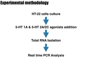 Experimental methodology
HT-22 cells culture
5-HT 1A & 5-HT 2A/2C agonists addition
Total RNA Isolation
Real time PCR Analysis
 