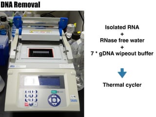 DNA Removal
Thermal cycler
Isolated RNA
+
RNase free water
+
7 * gDNA wipeout buffer
 