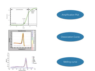 Ampliﬁcation Plot
Dissociation Curve
Melting curve
 