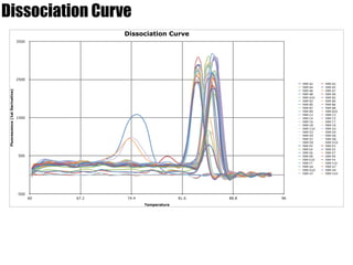 Dissociation Curve
Dissociation Curve
Fluorescence(1stDerivative)
-500
500
1500
2500
3500
Temperature
60 67.2 74.4 81.6 88.8 96
FAM A2 FAM A3
FAM A4 FAM A5
FAM A6 FAM A7
FAM A8 FAM A9
FAM A10 FAM B2
FAM B3 FAM B4
FAM B5 FAM B6
FAM B7 FAM B8
FAM B9 FAM B10
FAM C2 FAM C3
FAM C4 FAM C5
FAM C6 FAM C7
FAM C8 FAM C9
FAM C10 FAM D2
FAM D3 FAM D4
FAM D5 FAM D6
FAM D7 FAM D8
FAM D9 FAM D10
FAM E2 FAM E3
FAM E4 FAM E5
FAM E6 FAM E7
FAM E8 FAM E9
FAM E10 FAM F4
FAM F7 FAM F10
FAM G4 FAM G7
FAM G10 FAM H4
FAM H7 FAM H10
 