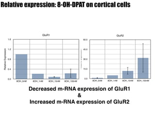 Relative expression: 8-OH-DPAT on cortical cells
GluR2
RelativeExplession
0.0
15.0
30.0
45.0
60.0
8OH_0nM 8OH_1nM 8OH_10nM 8OH_100nM
GluR1
RelativeExpression
0.0
0.4
0.8
1.2
1.6
8OH_0nM 8OH_1nM 8OH_10nM 8OH_100nM
Decreased m-RNA expression of GluR1
&
Increased m-RNA expression of GluR2
 