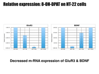 Relative expression: 8-OH-DPAT on HT-22 cells
GluR3
RelativeExpression
0.00E+00
2.50E-03
5.00E-03
7.50E-03
1.00E-02
8OH 0nM 8OH 1nM 8OH 10nM 8OH 100nM
BDNF
RelativeExpression
0.00E+00
1.25E-02
2.50E-02
3.75E-02
5.00E-02
8OH 0nM 8OH 1nM 8OH 10nM 8OH 100nM
Decreased m-RNA expression of GluR3 & BDNF
 
