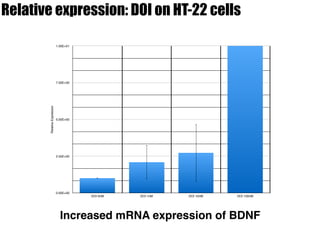 RelativeExpression
0.00E+00
2.50E+00
5.00E+00
7.50E+00
1.00E+01
DOI 0nM DOI 1nM DOI 10nM DOI 100nM
Relative expression: DOI on HT-22 cells
Increased mRNA expression of BDNF
 