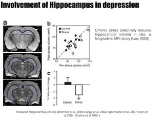 Involvement of Hippocampus in depression
Reduced Hippocampal volume (Bremner et al, 2000,Lange et al, 2004; Macmaster et al, 2007;Brien et
al 2004, Sheline et al 1995 )
Chronic stress selectively reduces
hippocampal volume in rats: a
longitudinal MRI study (Lee, 2009)
 