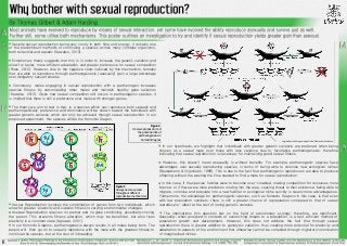 • Despite sexual reproduction being very costly in both time and energy, it remains one
of the predominant methods of continuing a species across many complex organisms,
both terrestrial and aquatic (Kawatsu, 2013).
• Evolutionary theory suggests that this is in order to increase the genetic variation and
allow for faster, more efficient adaptation and greater preference for sexual competition
(Roze, 2012). However, due to the negative costs induced by this mechanism, females
that are able to reproduce through parthenogenesis (asexually) gain a large advantage
over obligatory sexual females.
• Conversely, males engaging in sexual reproduction with a parthenogen increases
species fitness by outcompeting other males and maintain healthy gene selection
(Kawatsu, 2013). Given how sexual competition still occurs in parthenogenic species, it
is implied that there is still a preference over males with stronger genes.
• The theory we aim to test is that, in a species which can reproduce both sexually and
parthenogenically, preference and dominance will be shown toward the individuals with
greater genetic variance which can only be achieved through sexual reproduction. In our
proposed experiment, this species will be the Komodo Dragon.
• In our hypothesis, we highlight that individuals with greater genetic variance are preferred when being
chosen as a sexual mate over those with less variance due to facultative parthenogenesis, therefore
indicating that sexual reproduction is necessary for maintaining good sexual fitness.
• However, this doesn’t mean asexuality is without benefits. For example, parthenogenic species have
advantages over sexually reproducing species, in terms of being able to colonise new ecological niches
(Beukeboom & Vrijenhoek, 1998). This is due to the fact that parthenogenic reproducers are able to produce
offspring without the wasting the time needed to find a mate for sexual reproduction.
• In this case, if the species’ habitat were to become over-crowded, making competition for resources more
intense; or if there were more predators moving into the area, causing threat to their existence; being able to
migrate, colonise and populate into a new habitat or ecological niche quickly is clearly more advantageous.
Furthermore, the advantage for parthenogenic species, such as Komodo Dragons in this case, is that even
with low population numbers, there is still a greater chance of repopulation compared to that of sexual
reproducers- albeit at the cost of losing genetic variance.
• The implications this question has on the field of evolutionary ecology, therefore, are significant.
Asexuality, when analysed in contexts of overarching threats to a population, is a fast, efficient method of
population growth and development. However, this does not address the fact that through sexual
reproduction there is greater addition to genotypic variation, thus creating more potential for plasticity and
adaptation to aspects of the environment that otherwise cannot be corrected through migratory colonisation
of marginalised niches.
• Sexual Reproduction involves the combination of genes from two individuals, which
allow for greater plasticity and superior fitness in varying environmental changes.
• Asexual Reproduction requires no partner and no gene combining, essentially cloning
the parent. This prevents fitness alteration, which may be beneficial, but also fixes
plasticity in a constant state (Agrawal, 2001).
• In our Komodo Dragons, parthenogenesis always results in all males being born. The
parent will then go on to sexually reproduce with the male with the greatest fitness to
continue the species, but at the cost of inbreeding.
Figure 1.
How genes are spread
throughout different
reproductive mechanisms
Figure 2.
How we propose to test
the potential risk of
parthenogenesis in
Komodo Dragons Original Komodo Dragon Image Credit: Oleksander Kovalenko
 