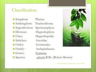 Classification
Ankit Sanejal et.,al Gymnema sylvestre.2010
3
 Kingdom: Plantae
 Subkingdom: Tracheobionta
 Superdivisio...