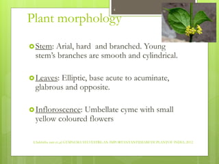 Plant morphology
Stem: Arial, hard and branched. Young
stem’s branches are smooth and cylindrical.
Leaves: Elliptic, bas...