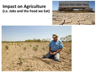 Impact on Agriculture
(i.e. Jobs and the Food we Eat)
 