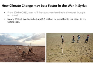 How Climate Change may be a Factor in the War in Syria:
• From 2006 to 2011, over half the country suffered from the worst drought
on record.
• Nearly 85% of livestock died and 1.5 million farmers fled to the cities to try
to find jobs.
 