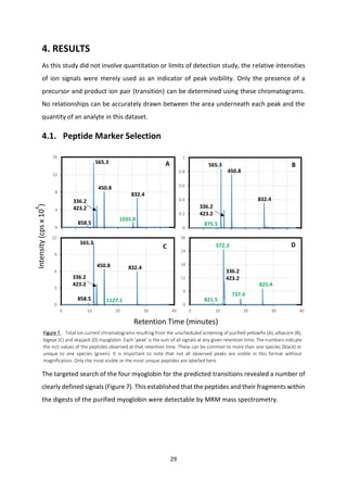 29
4. RESULTS
As this study did not involve quantitation or limits of detection study, the relative intensities
of ion signals were merely used as an indicator of peak visibility. Only the presence of a
precursor and product ion pair (transition) can be determined using these chromatograms.
No relationships can be accurately drawn between the area underneath each peak and the
quantity of an analyte in this dataset.
4.1. Peptide Marker Selection
The targeted search of the four myoglobin for the predicted transitions revealed a number of
clearly defined signals (Figure 7). This established that the peptides and their fragments within
the digests of the purified myoglobin were detectable by MRM mass spectrometry.
0
6
12
18
24
30
0 10 20 30 40
Intensity(cpsx10
6
)
0
3
6
9
12
0 10 20 30 40
0
0.2
0.4
0.6
0.8
1
0
4
8
12
16
B
C
A
Retention Time (minutes)
D
858.5
565.3
450.8
336.2
423.2
832.4
1035.0
858.5
336.2
423.2
565.3
450.8 832.4
821.51127.1
825.4
737.4
572.3
336.2
423.2
565.3
450.8
336.2
423.2
832.4
875.5
Figure 7. Total ion current chromatograms resulting from the unscheduled screening of purified yellowfin (A), albacore (B),
bigeye (C) and skipjack (D) myoglobin. Each ‘peak’ is the sum of all signals at any given retention time. The numbers indicate
the m/z values of the peptides observed at that retention time. These can be common to more than one species (black) or
unique to one species (green). It is important to note that not all observed peaks are visible in this format without
magnification. Only the most visible or the most unique peptides are labelled here.
 