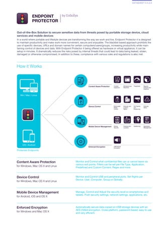 DLP and MDM Datasheet | PDF