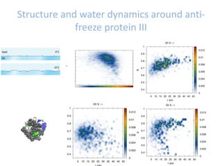 Structure and water dynamics around anti-
freeze protein III
 
