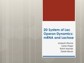 2D System of Lac
Operon Dynamics:
mRNA and Lactose
Joaquin Reyna
Lanie Happ
Rohit Mande
Derek Bever
 