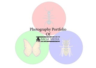 Photography Portfolio
Of
 
