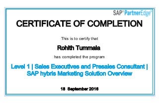 CERTIFICATE OF COMPLETION
This is to certify that
Rohith Tummala
has completed the program
Level 1 | Sales Executives and Presales Consultant |
SAP hybris Marketing Solution Overview
18  September 2016
 
