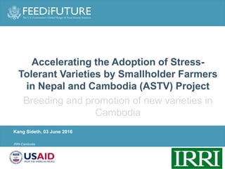 PARTNER LOGO
GOES HERE (click
slide master to add)
Photo Credit Goes Here
IRRI-Cambodia
Kang Sideth, 03 June 2016
Accelerating the Adoption of Stress-
Tolerant Varieties by Smallholder Farmers
in Nepal and Cambodia (ASTV) Project
Breeding and promotion of new varieties in
Cambodia
 