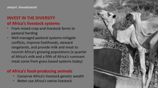 Smart investments in Africa’s livestock potential 