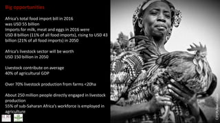 Smart investments in Africa’s livestock potential 