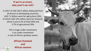 Smart investments in Africa’s livestock potential 