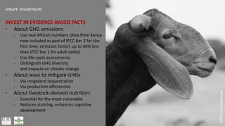 Smart investments in Africa’s livestock potential 