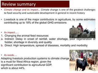 Options of making livestock production in West Africa “climate-smart”